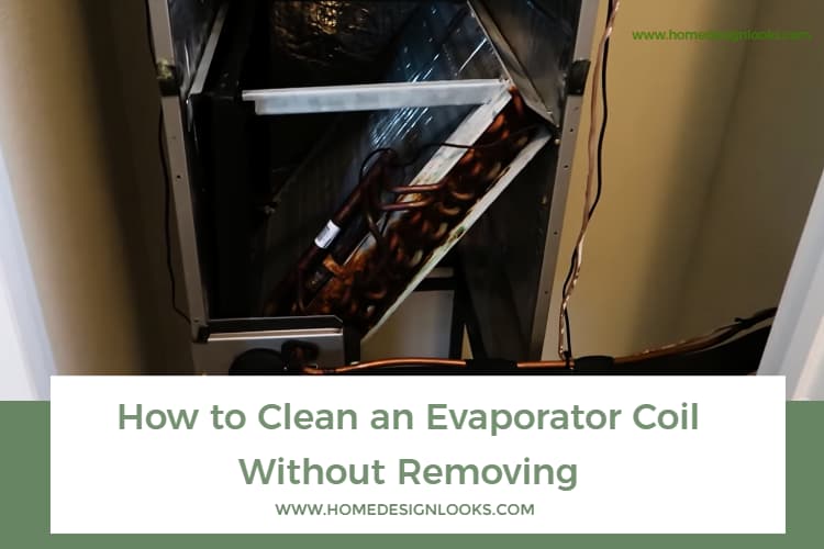 How To Clean An Evaporator Coil Without Removing - Best Blog For ...